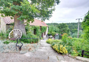Waterswallow Cottage